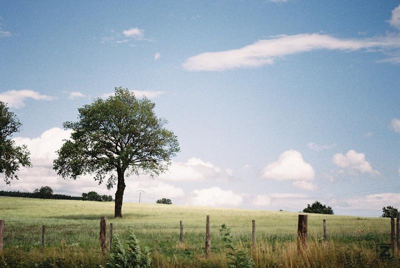 Nothing was done on this picture except shoot it !
https://www.flickr.com/photos/ztec/8442153367/
Albums: Nature