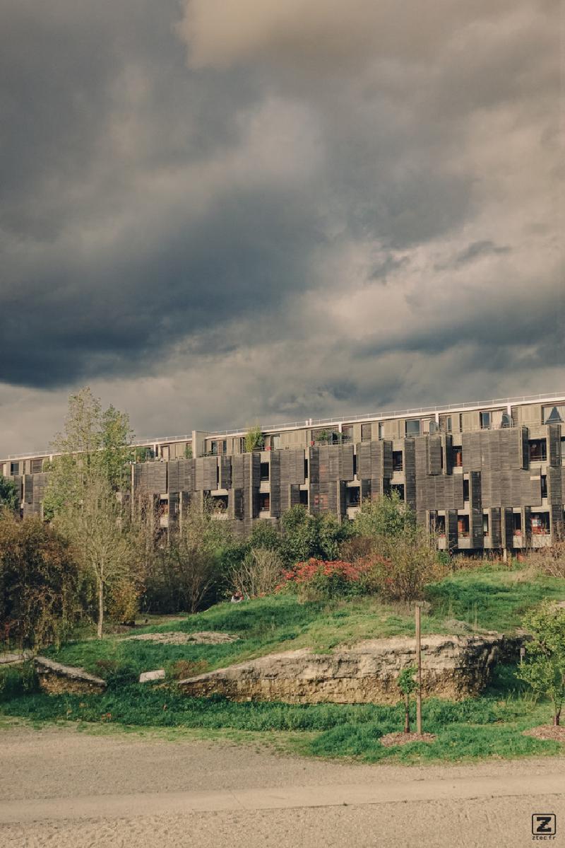 Wood building in a park. The picture in in 3 layer. First ground with the park. Second, the building with it's facade in wood. Then the sky, a bit dramatic. 
https://www.flickr.com/photos/ztec/53412369353/