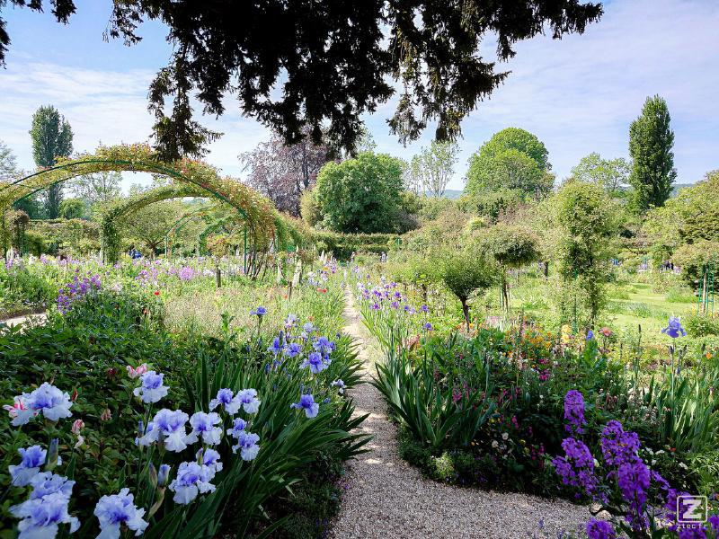 A garden with lots of flower in the style of the painter Monet. It is actually the Monet's garden in france !