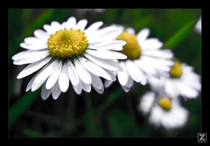 no description
https://www.flickr.com/photos/ztec/8433225421/
Albums: Nature