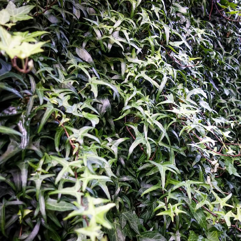 no description
https://www.flickr.com/photos/ztec/52144818784/
Albums: Paris