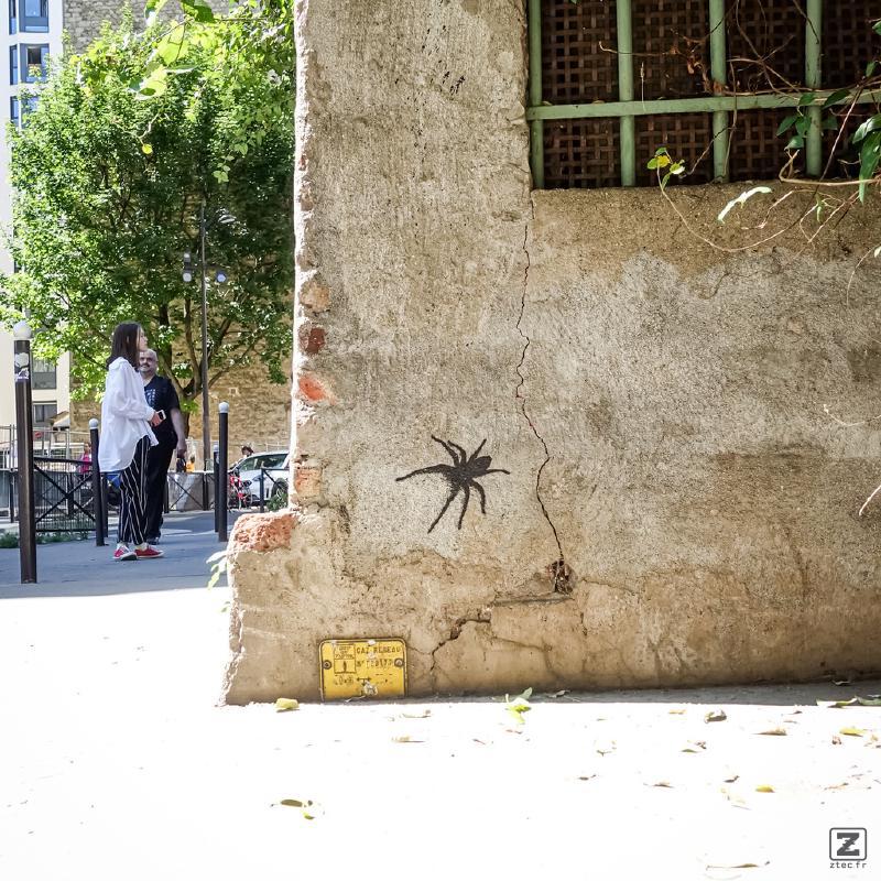 no description
https://www.flickr.com/photos/ztec/52144818004/
Albums: Paris