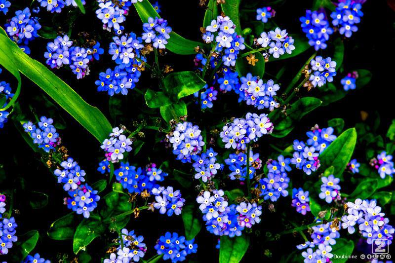 no description
https://www.flickr.com/photos/ztec/13958366311/