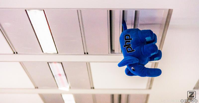 Oh my lord ! This elePhant is fixed on the ceiling
https://www.flickr.com/photos/ztec/9187384512/
Albums: Php