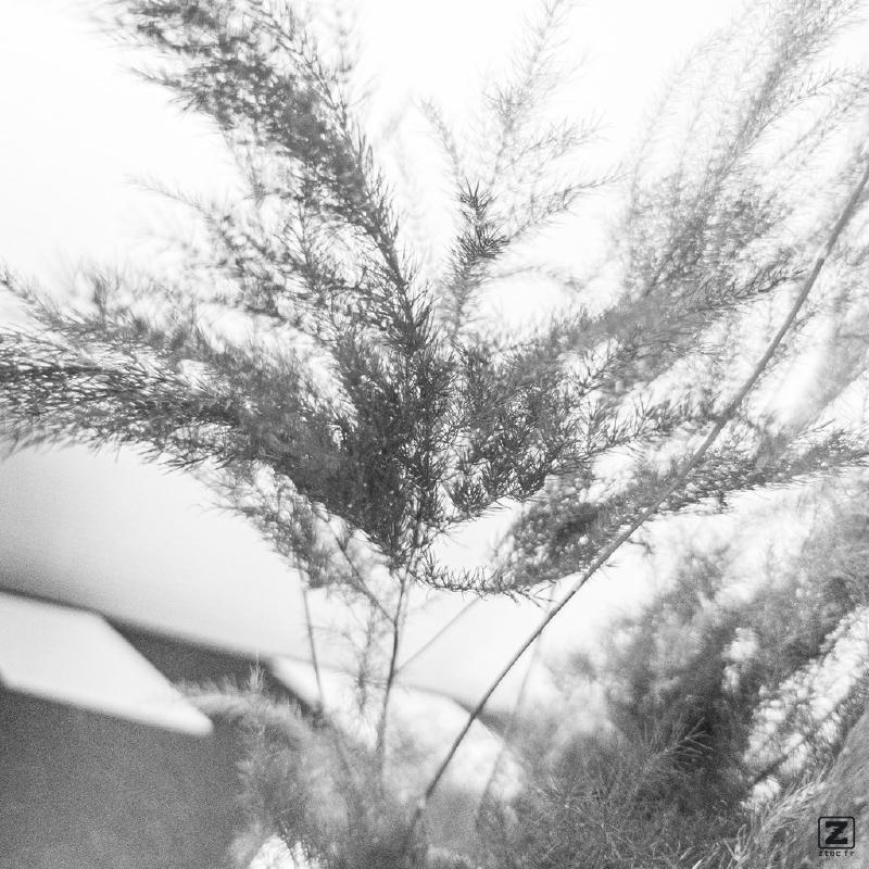 no description
https://www.flickr.com/photos/ztec/52166382096/