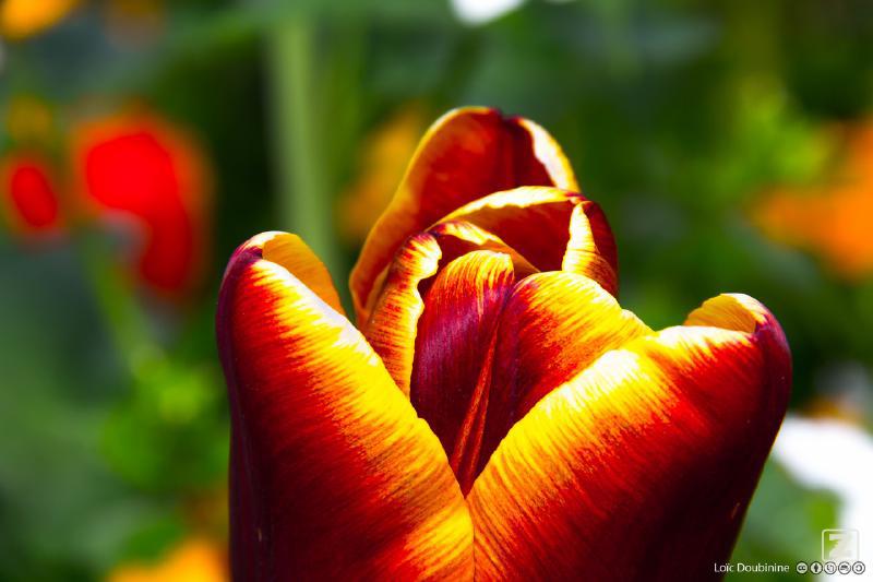 no description
https://www.flickr.com/photos/ztec/13965394576/