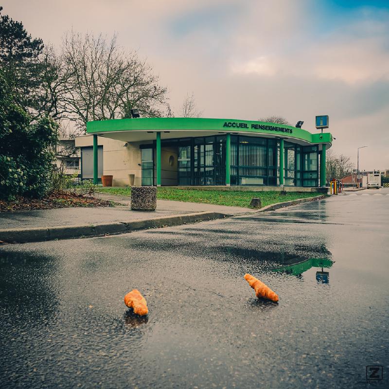 Two croissant on the wet ground outside. In front of an "information" building.
https://www.flickr.com/photos/ztec/54316172663/