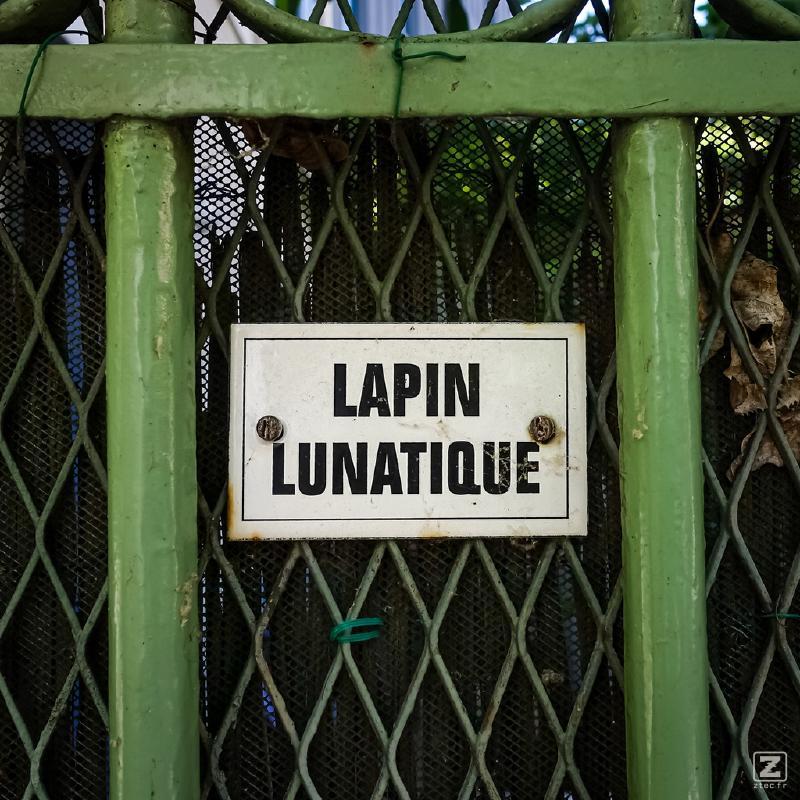 no description
https://www.flickr.com/photos/ztec/52144601333/
Albums: Paris