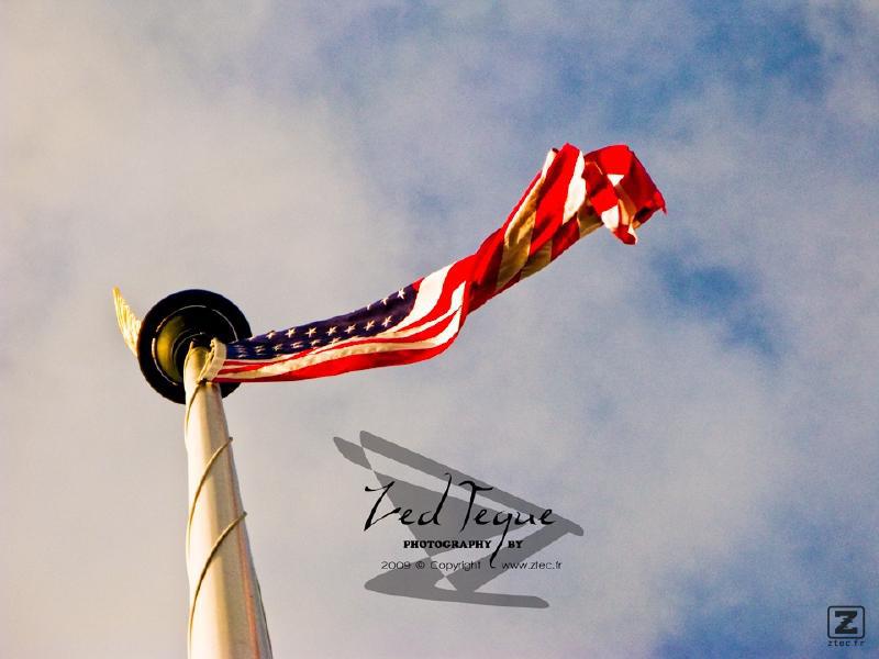 no description
https://www.flickr.com/photos/ztec/8434314148/
Albums: Things