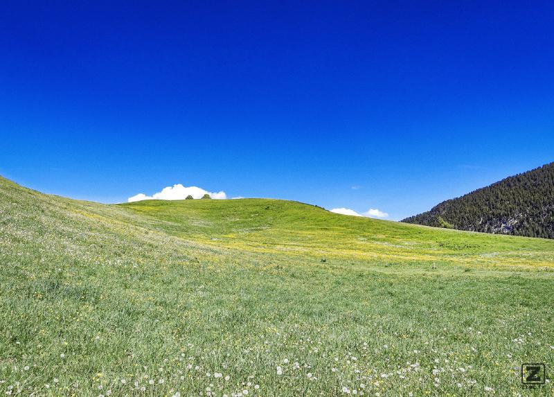 no description
https://www.flickr.com/photos/ztec/52232455659/