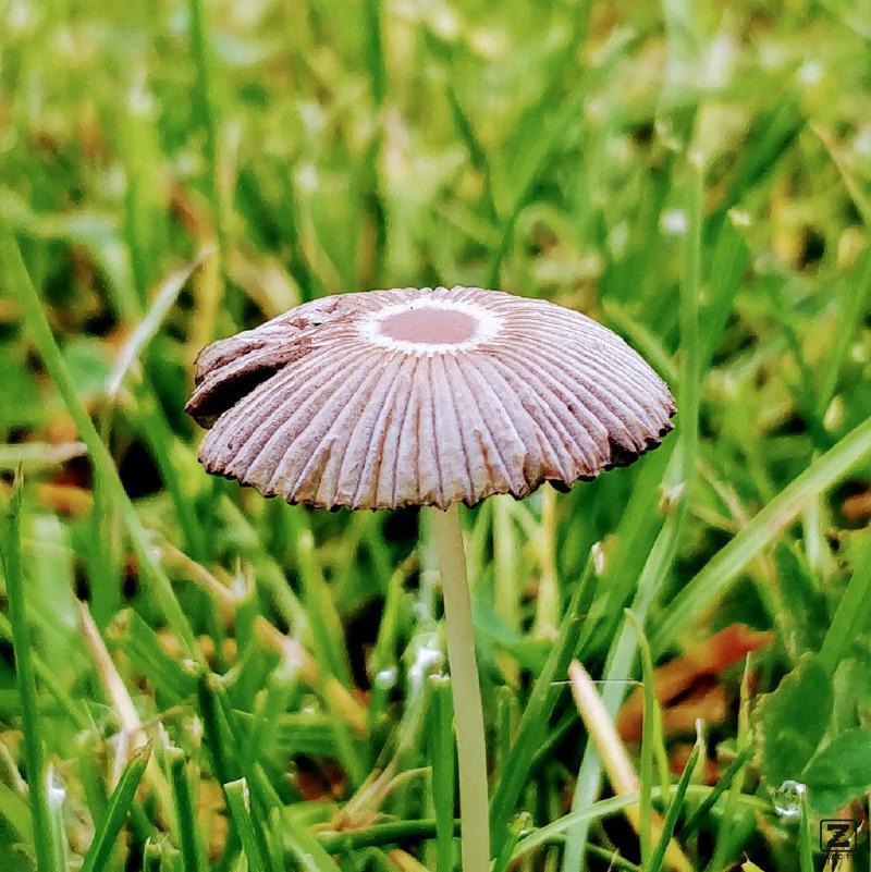 no description
https://www.flickr.com/photos/ztec/26956745619/