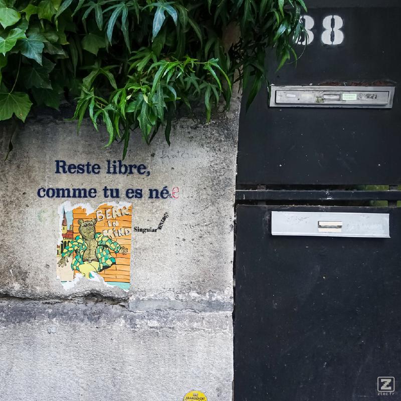 no description
https://www.flickr.com/photos/ztec/52145066905/
Albums: Paris