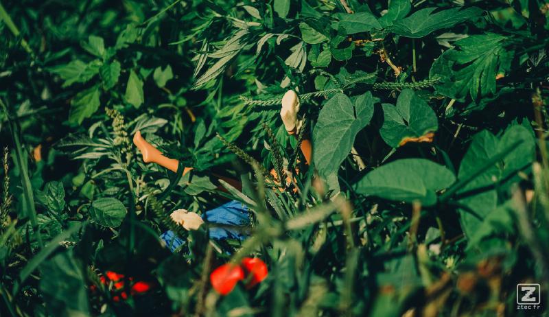 Two dolls (barbie and Ken) barely visible. Cloth seems partially off. We can guess they are "actives".