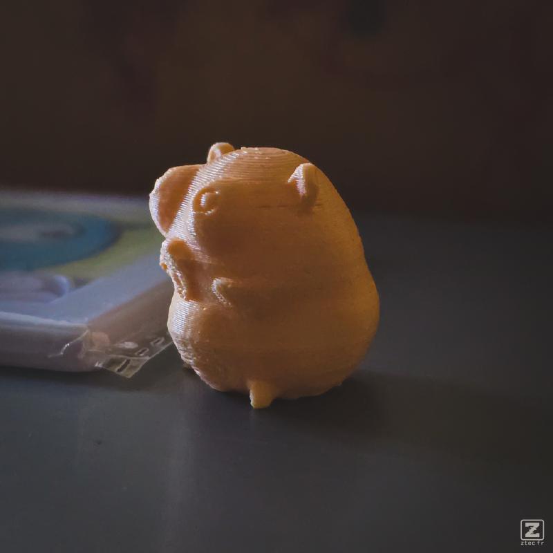 2026 3d gopher from tinny-go. He is fatty and cute this year.