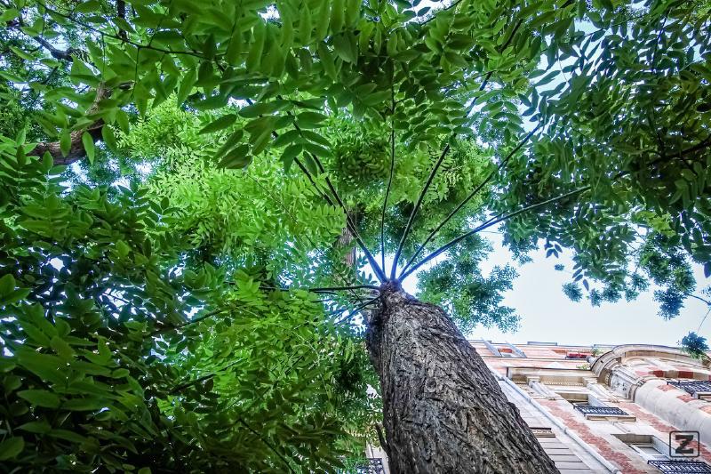 no description
https://www.flickr.com/photos/ztec/52145066605/
Albums: Paris