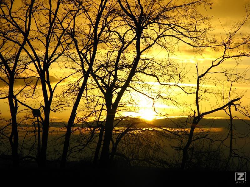 Vue de l'A6 près de Paris
https://www.flickr.com/photos/ztec/8433231783/
Albums: Nature