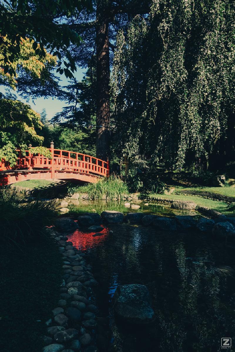 A red bridge over water in a green garden