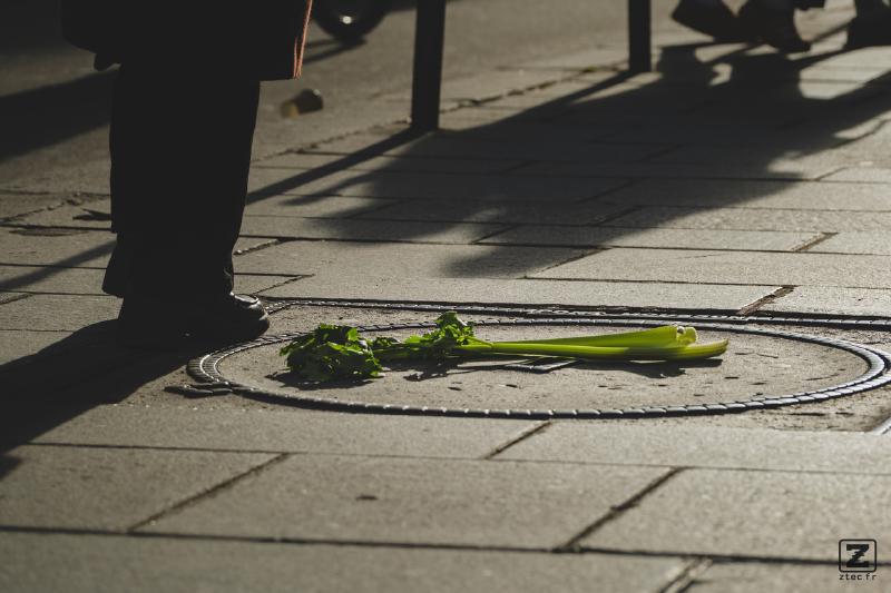 A branch of celery laying on the ground with someone standing next to it.