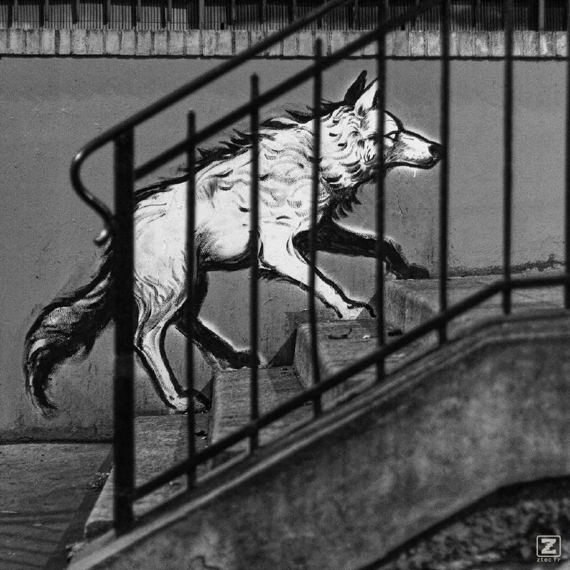 no description
https://www.flickr.com/photos/ztec/51758354660/
Albums: Paris