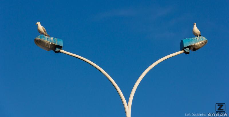 no description
https://www.flickr.com/photos/ztec/9321556585/