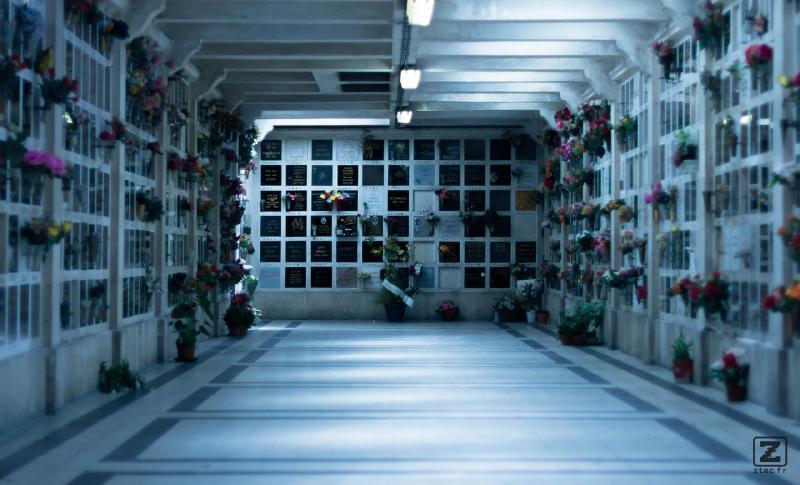 no description
https://www.flickr.com/photos/ztec/28944722553/