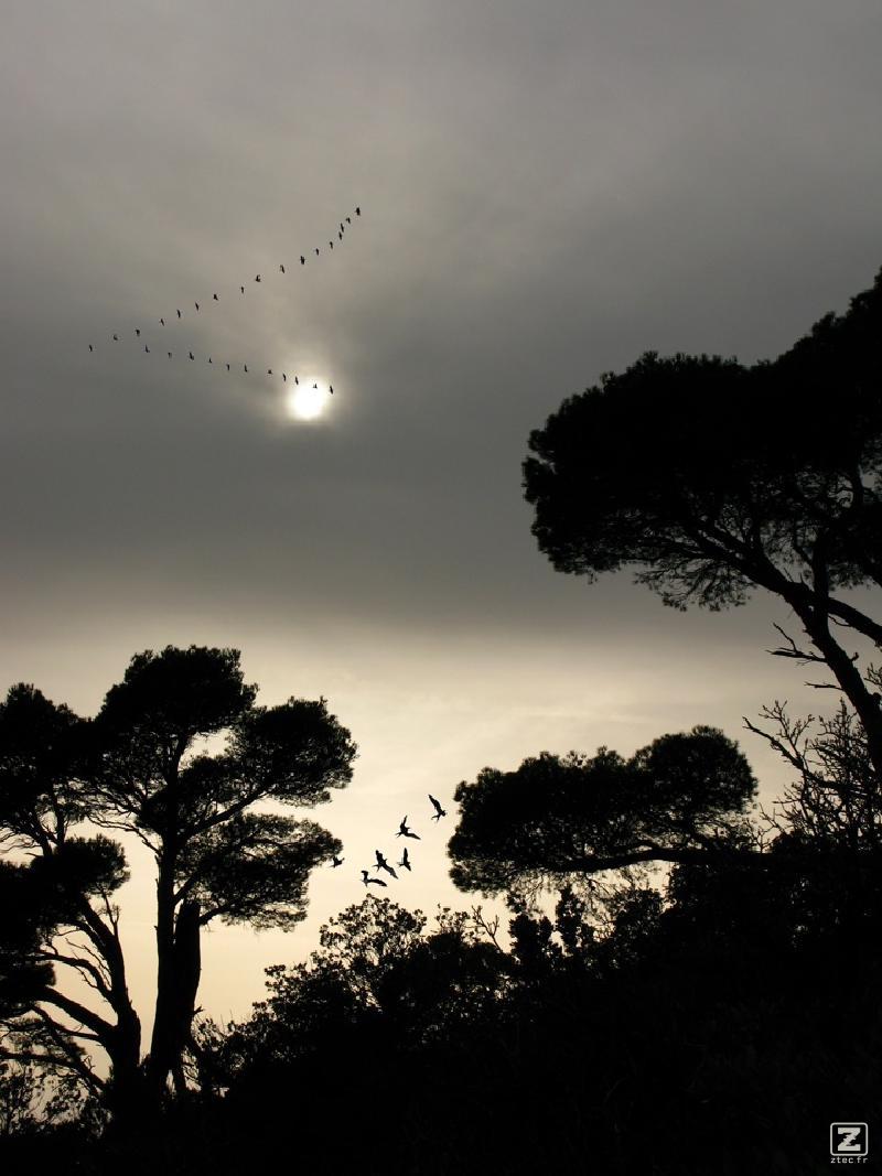 no description
https://www.flickr.com/photos/ztec/8433232207/
Albums: Nature