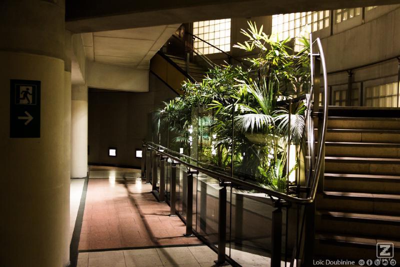 Oasis is good enough to be placed underground in the subway pedestrians tunnels. Feel free to folow the emergency exi to the underground forest !
https://www.flickr.com/photos/ztec/8942658037/
Albums: Nature