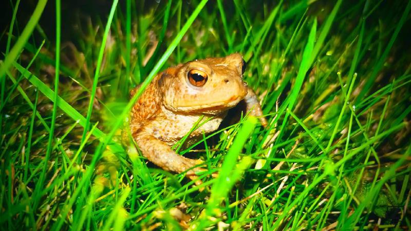 no description
https://www.flickr.com/photos/ztec/26956736209/