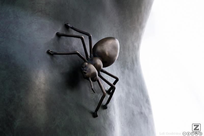 no description
https://www.flickr.com/photos/ztec/9473538163/