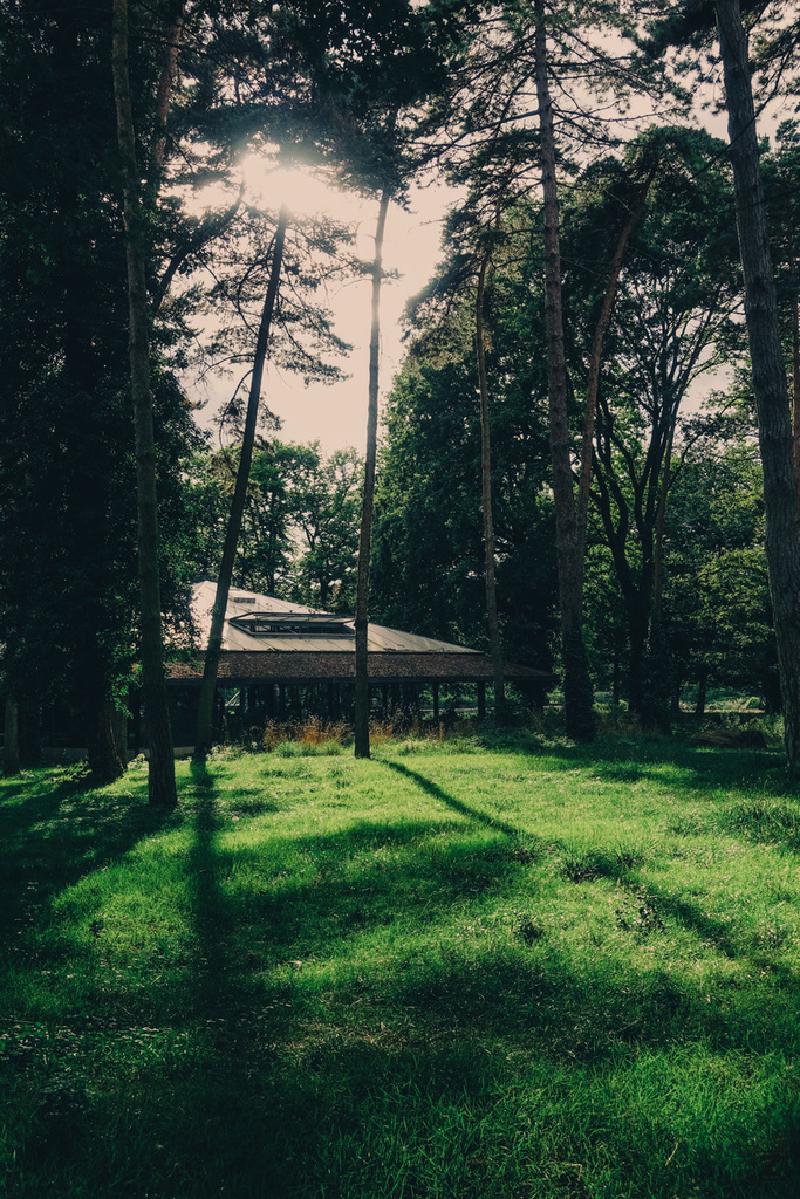 Wooden cabin partially hidden in a forest, surrounded by tall trees, with sunlight filtering through the leaves
https://www.flickr.com/photos/ztec/53919196784/
Albums: www