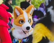 Eurofurence 30 furry convention at Hamburg Germany