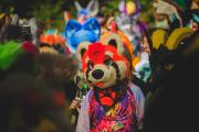Eurofurence 30 furry convention at Hamburg Germany
