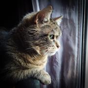 no description
https://www.flickr.com/photos/ztec/52505015984/