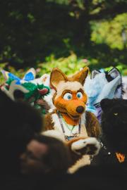 Eurofurence 30 furry convention at Hamburg Germany