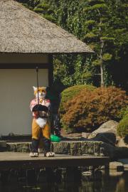Eurofurence 30 furry convention at Hamburg Germany