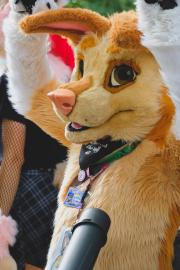 Eurofurence 30 furry convention at Hamburg Germany