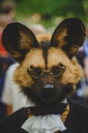 Eurofurence 30 furry convention at Hamburg Germany