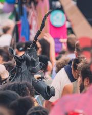 A black unicorn in the crowd