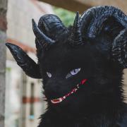 Eurofurence 30 furry convention at Hamburg Germany