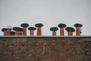 Multiple roof vents aligned lick mushroom on a roof
