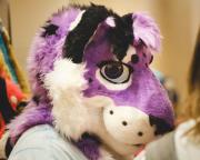 Eurofurence 30 furry convention at Hamburg Germany