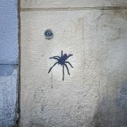 no description
https://www.flickr.com/photos/ztec/52145066890/
Albums: Paris