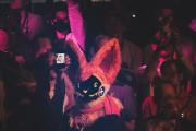 Eurofurence 30 furry convention at Hamburg Germany