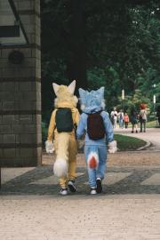 Eurofurence 30 furry convention at Hamburg Germany