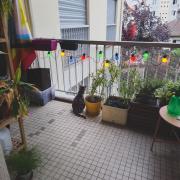 Martine enjoy her new spot on the balcony