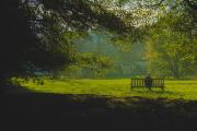 A person on a bench in a green scenery 