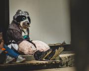 Eurofurence 30 furry convention at Hamburg Germany