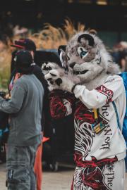 Eurofurence 30 furry convention at Hamburg Germany