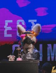 Eurofurence 30 furry convention at Hamburg Germany