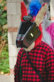 Eurofurence 30 furry convention at Hamburg Germany